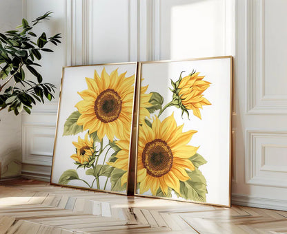 Duo de Tournesols Dorés